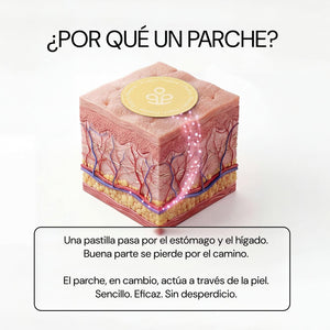 ¿Por qué un parche? Los activos pasan a través de la piel