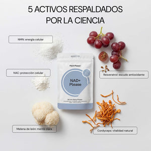 5 activos respaldados por la ciencia: NMN, resveratrol, cordyceps, melena de león y NAC